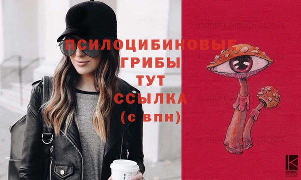 соль курить ск Абаза